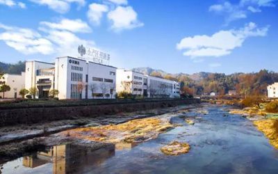 东升国际官网-钻营健全,你我一路成长