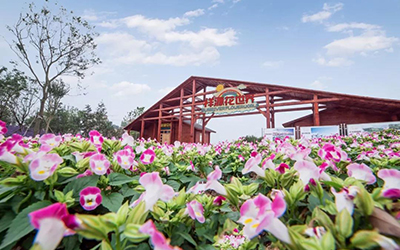 东升国际官网-钻营健全,你我一路成长