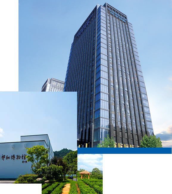 东升国际官网-钻营健全,你我一路成长