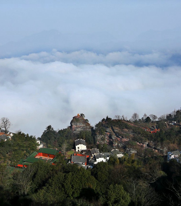 东升国际官网-钻营健全,你我一路成长