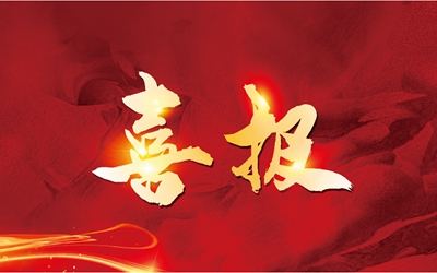 东升国际官网-钻营健全,你我一路成长