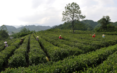 东升国际官网-钻营健全,你我一路成长