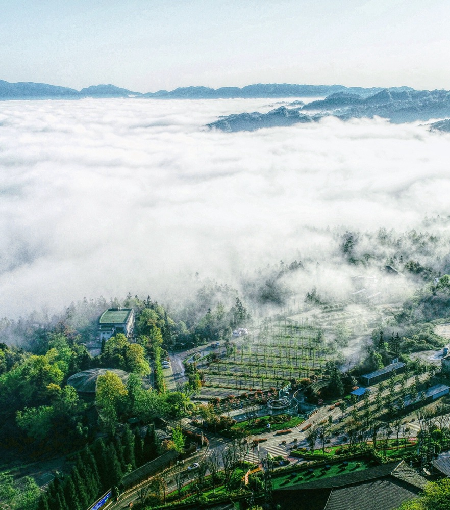 东升国际官网-钻营健全,你我一路成长