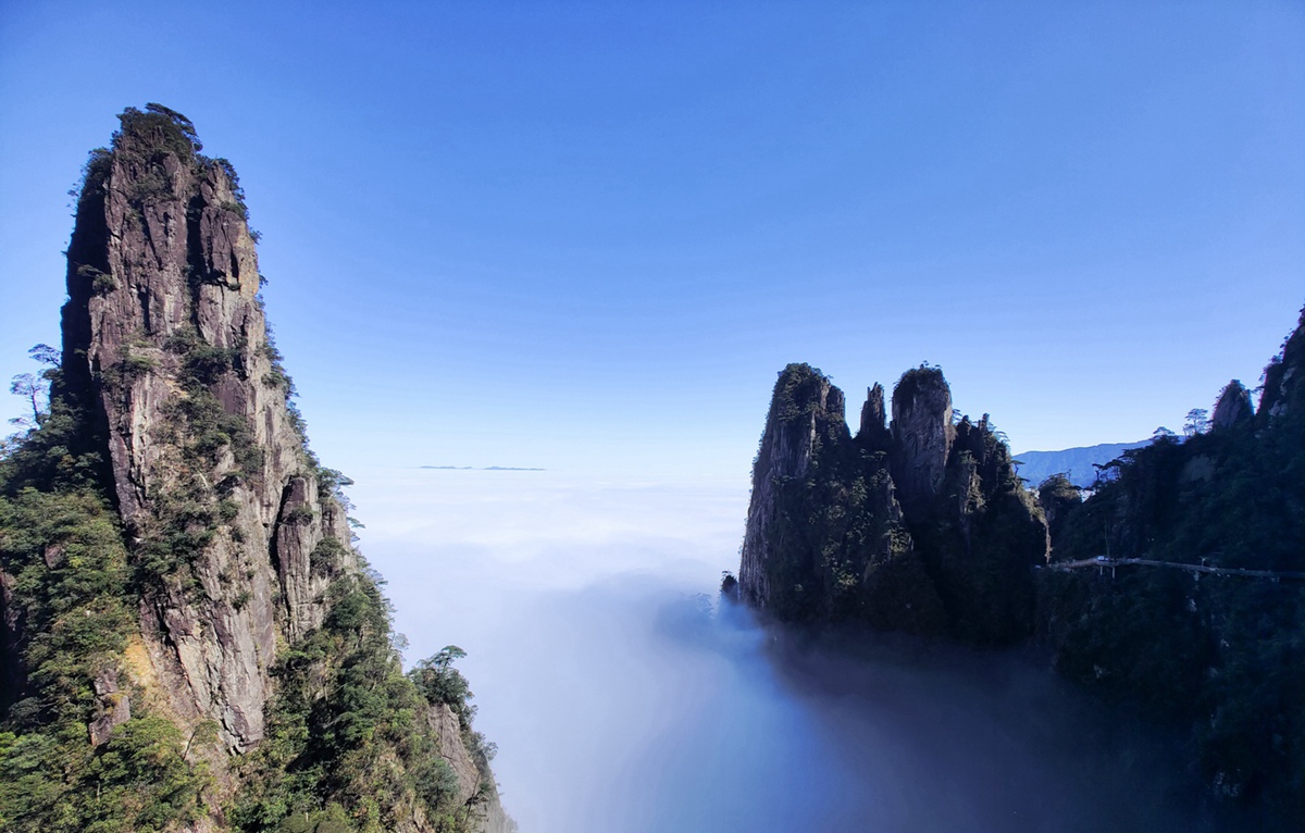 东升国际官网-钻营健全,你我一路成长